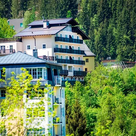 Appartement Near Lifts Bad Gastein